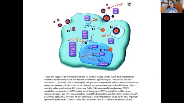 Nutrition and Viral Immunity Support on Living Science Wellness Centre смотреть онлайн