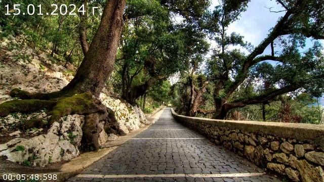 866 На трёх работах 15.01.2024 г смотреть онлайн