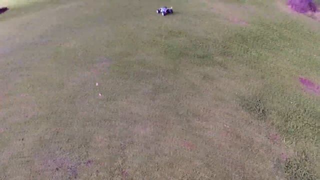 ZD Racing BX-8 Pirates 2 1/8 Scale Brushless Buggy - First Drive Test Review