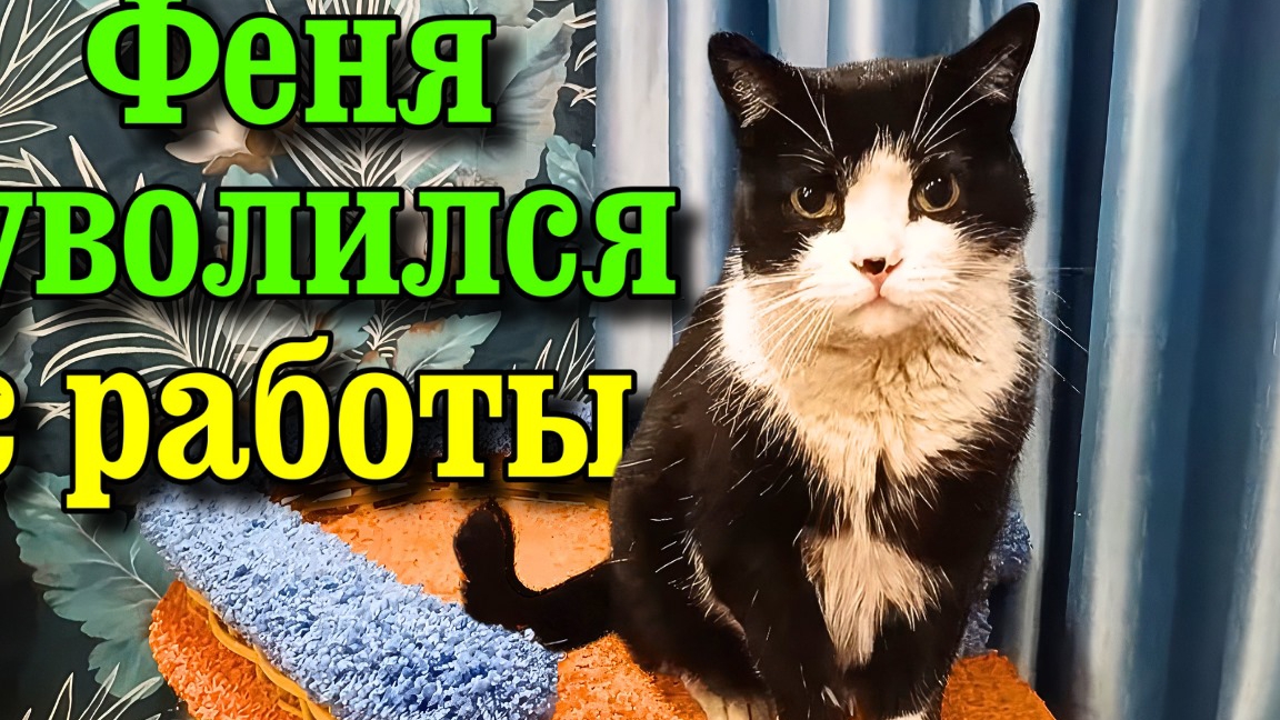 Феня уволился с работы. смотреть онлайн