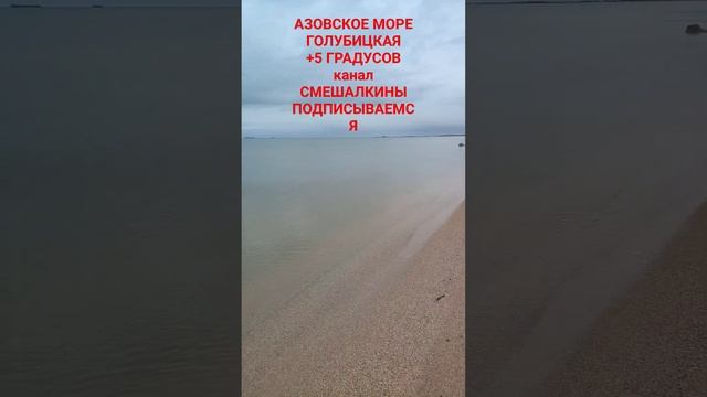АЗОВСКОЕ МОРЕ-ЭТО ЧУДО+5 градусов в Январе #голубицкая #азовскоеморе #смешалкины смотреть онлайн