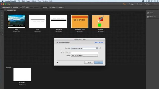 Upload To FTP Host In Muse