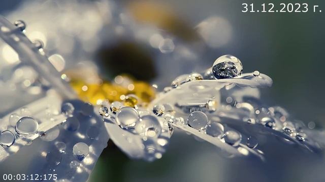 851 Изменит мир к лучшему 31.12.2023 г. смотреть онлайн