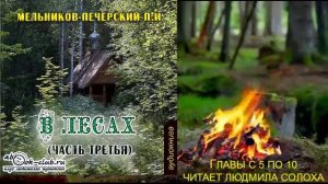 03.02 П. И. Мельников - Печерский "В лесах" (часть 3 главы с 5 по 10)