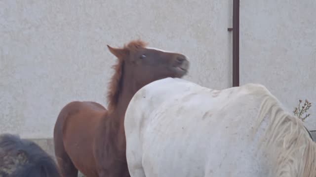 19 сентября 2023 г. смотреть онлайн