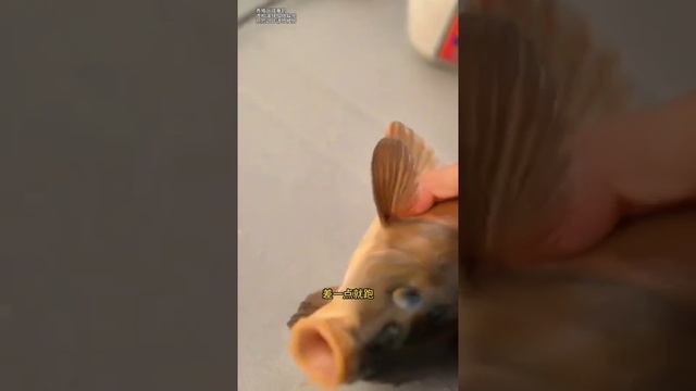🐟🐟🐟Это просто супер рыбалка !!! 👍👍👍 смотреть онлайн