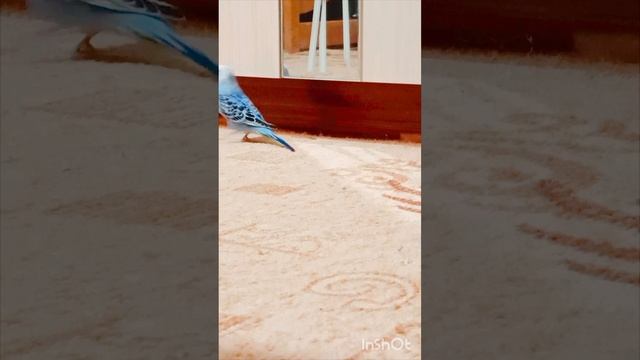 танцор диско!🤣😂