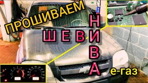 прошивка Шевролет Нива с электронной педалью при снятии катализатора. Chevrolet Niva евро-2.