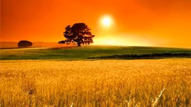 Laykos in Fabula / Scarborough fair.mpg смотреть онлайн