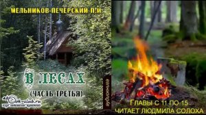 03.03 П. И. Мельников - Печерский "В лесах" (часть 3 главы с 11 по 15)