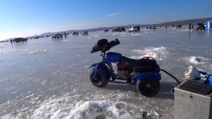 Тавричанские меляки 28.10.24