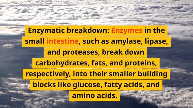 Facts about Digestion of food : 10 Mind-Expanding Facts | Facts | Food Facts | TRENDTROVE смотреть онлайн