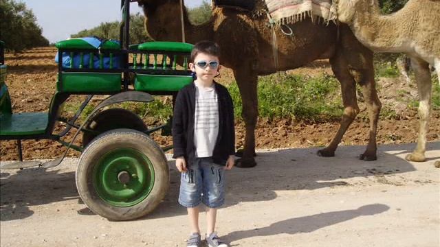 Tunisie смотреть онлайн