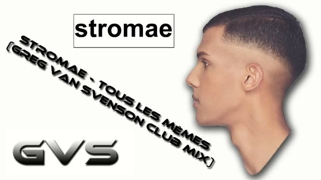 Stromae - Tous Les Mêmes (Greg Van Svenson Club Mix) смотреть онлайн