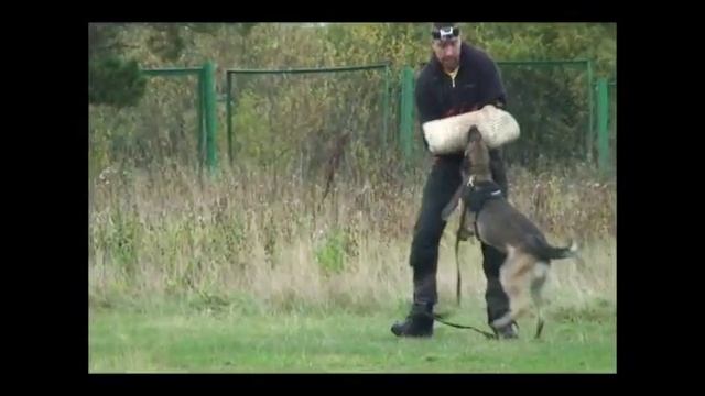 Our Malinois In Tyumen-Sept'12 What A Team!!!