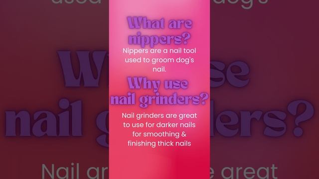 Dog Whisperer Diaries Vlog смотреть онлайн