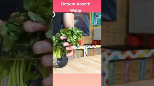 cool stuff Tricks 🙂 смотреть онлайн