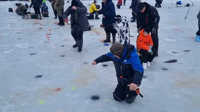 28-12-2024 смотреть онлайн