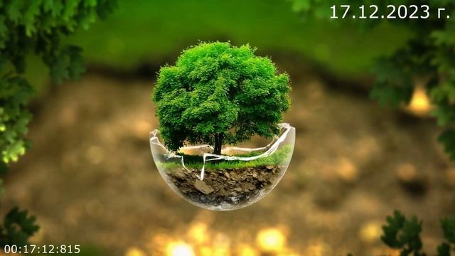 837 17.12.2023 г смотреть онлайн