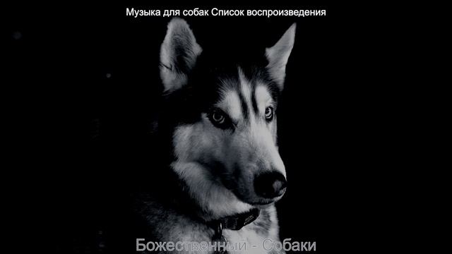 Настроения (Щенки) смотреть онлайн