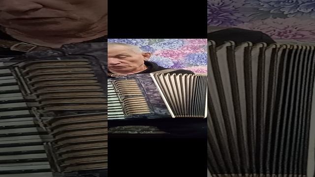 аккордеон аккорд