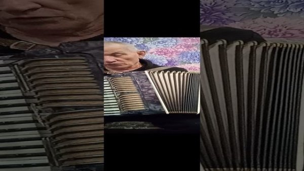 аккордеон аккорд