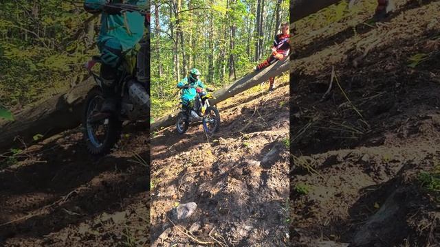 Кучуры 31августа 2024года