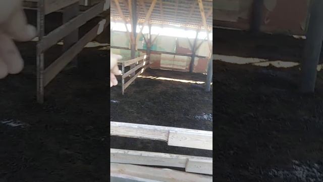 Раскол для овец смотреть онлайн