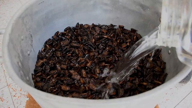 יודעים איך זה מגיע לסופרמרקט? הכנת דבש חרובים מההתחלה עד הסוף ASMR# смотреть онлайн