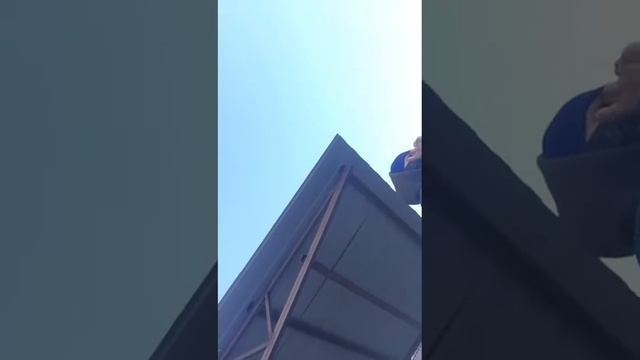 Дикая патя. смотреть онлайн