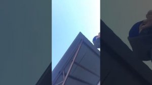 Дикая патя.