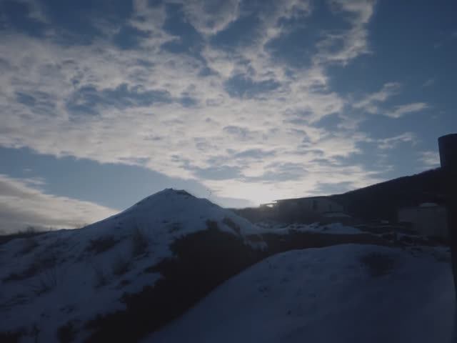 Влюблённые ! Гулять ! , идите в лес. смотреть онлайн