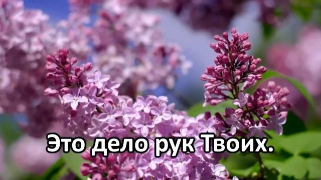 Славим, славим в песнопеньях смотреть онлайн
