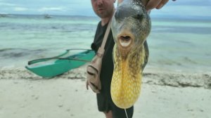 ВОТ ЭТО УЛОВ ФИЛИППИНСКИХ РЫБАКОВ / рыбалка в открытом море