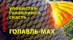 Как поймать голавля на малой реке. Простейшая уловистая снасть «голавль-мах».