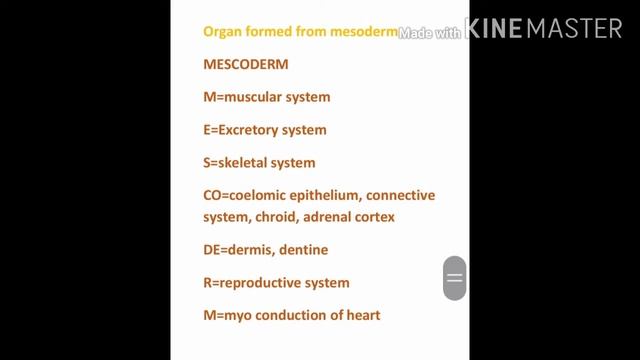 Easy ways to remember the organs form from endoderm, ectoderm and mesoderm смотреть онлайн