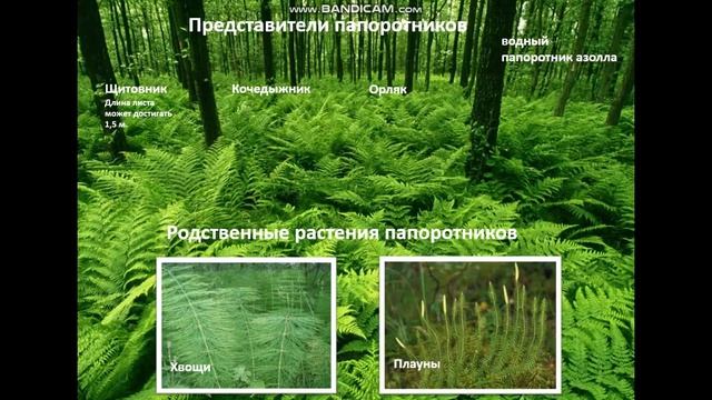 16 апреля 2022 г. смотреть онлайн