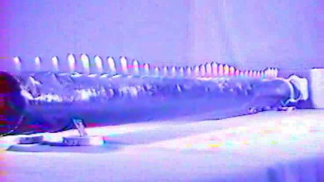 Физика. Опыты. Механика сплошных сред. Стоячая звуковая волна. Труба Рубенса смотреть онлайн