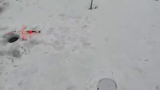 НИКОГО НЕ ОБОШЛА, НАША РЫБКА смотреть онлайн