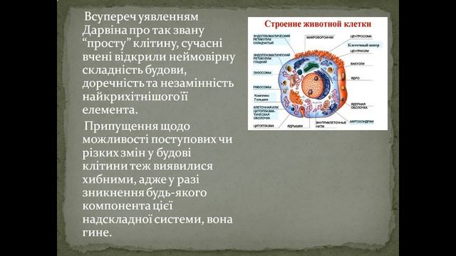 Презентація Еволюція життя смотреть онлайн