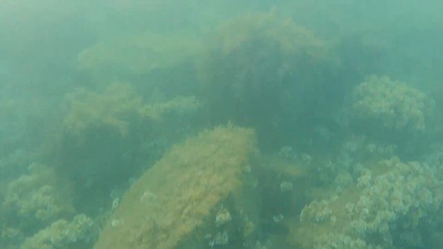 Дикий пляж Большого Утриша, под ротондами, подводное видео смотреть онлайн