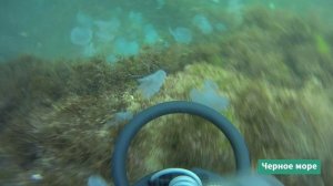 Подводный поиск с металлоискателем