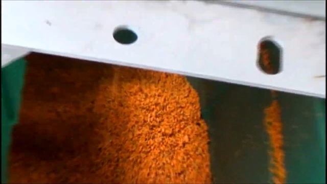 TURMERIC III смотреть онлайн