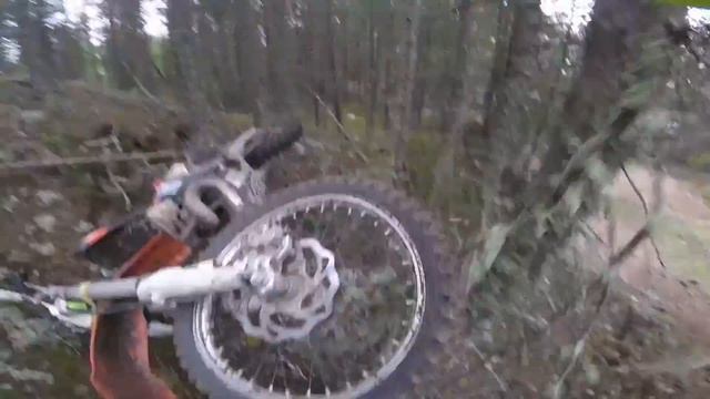 Шустрая Белка без купюр смотреть онлайн