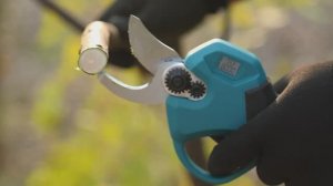 Секатор-сучкорез аккумуляторный SHIDOKU