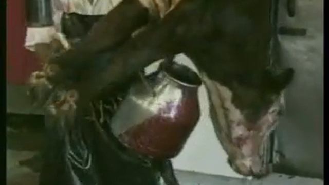 Цена бифштекса смотреть онлайн