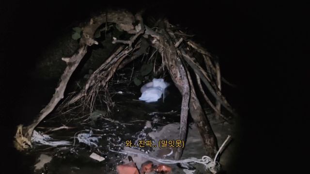3일 동안 무인도에서 살아남기 смотреть онлайн