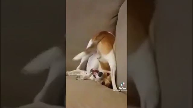 Включи когда будет грустно😍😍😍😍😍😍😍😍😍😍😍😍😍 смотреть онлайн