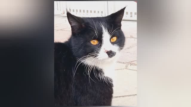 Моë солнышко смотреть онлайн