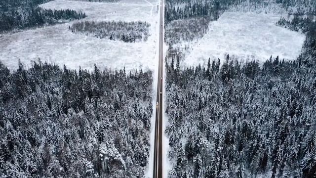 Фоновая музыка  Dream Relax